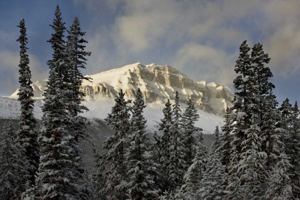 Canada, Banff NP Bow Peak after a snowstorm